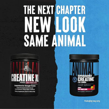 Animal Supercharged Creatine Powder - Creatine Monohydrate Post Workout Muscle Recovery Supplement Plus Endurance Betaine Anhydrous, Senactiv, and PurpleForce to Delay Fatigue, Fruit Punch