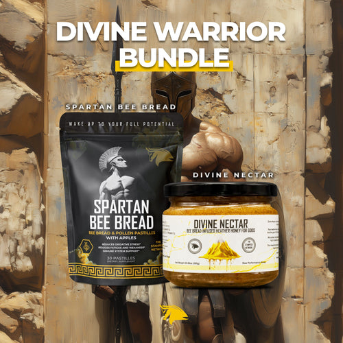 Divine Warrior Bundle