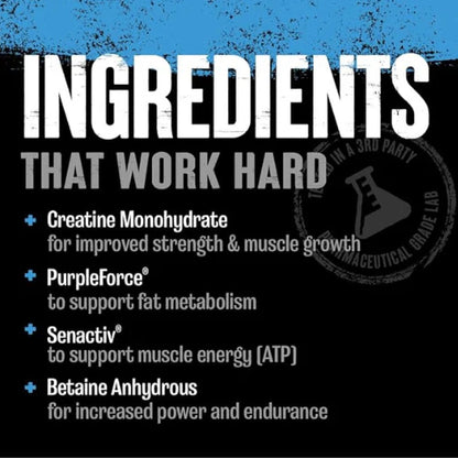 Animal Supercharged Creatine Powder - Creatine Monohydrate Post Workout Muscle Recovery Supplement Plus Endurance Betaine Anhydrous, Senactiv, and PurpleForce to Delay Fatigue, Fruit Punch